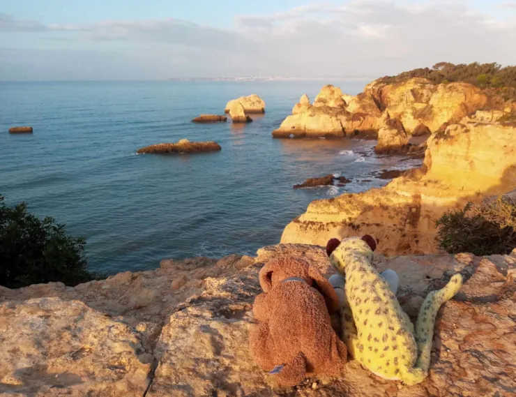 Leo and Schnuffel are lying in the morning sun on a rock above the sea, looking at Lagos, which can be seen in the distance on the horizon.