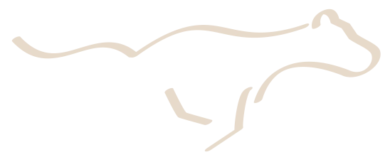 The logo from maison de mabiti in cream.