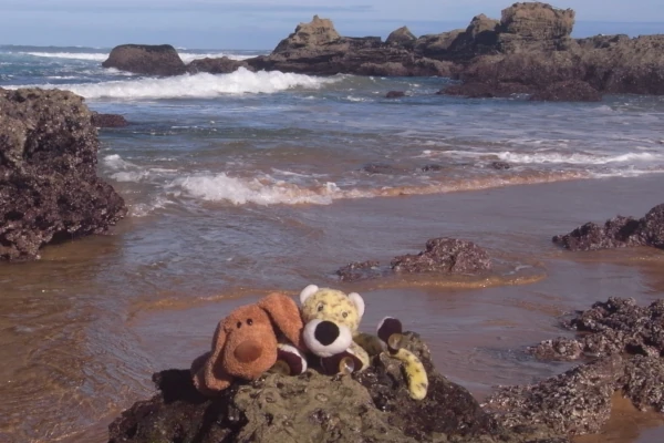 Leo and Schnuffel are cuddled up together on the beach, while gentle waves roll onto the shore in the background.