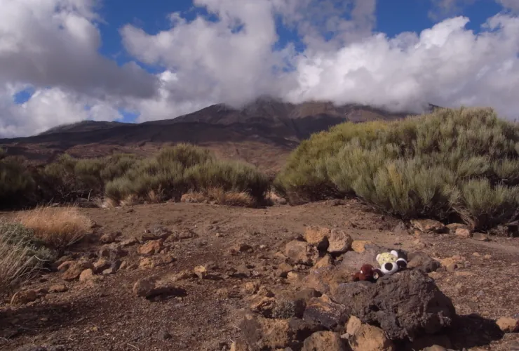 Robbi and Leo are lying on a lava rock in a volcanic landscape in Tenerife. In the background, the Teide volcano can be seen.