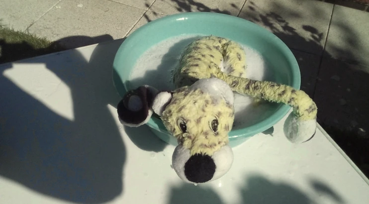 Leo is lying in the wash basin covered in foam. He looks grumpy and wants to get out.