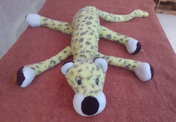 Leo is lying on a towel to dry, with all his legs and tail stretched out wide.